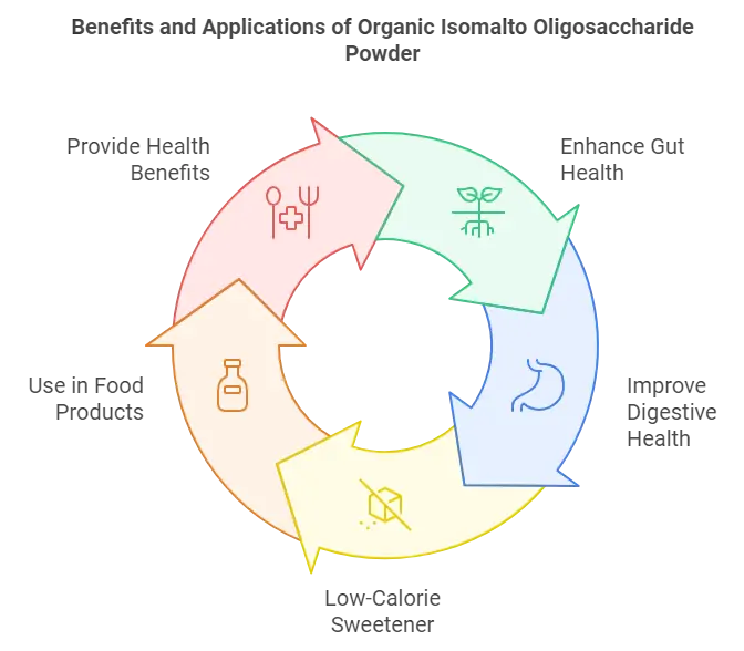 Benefits And Applications Of Organic Isomalto Oligosaccharide Powder