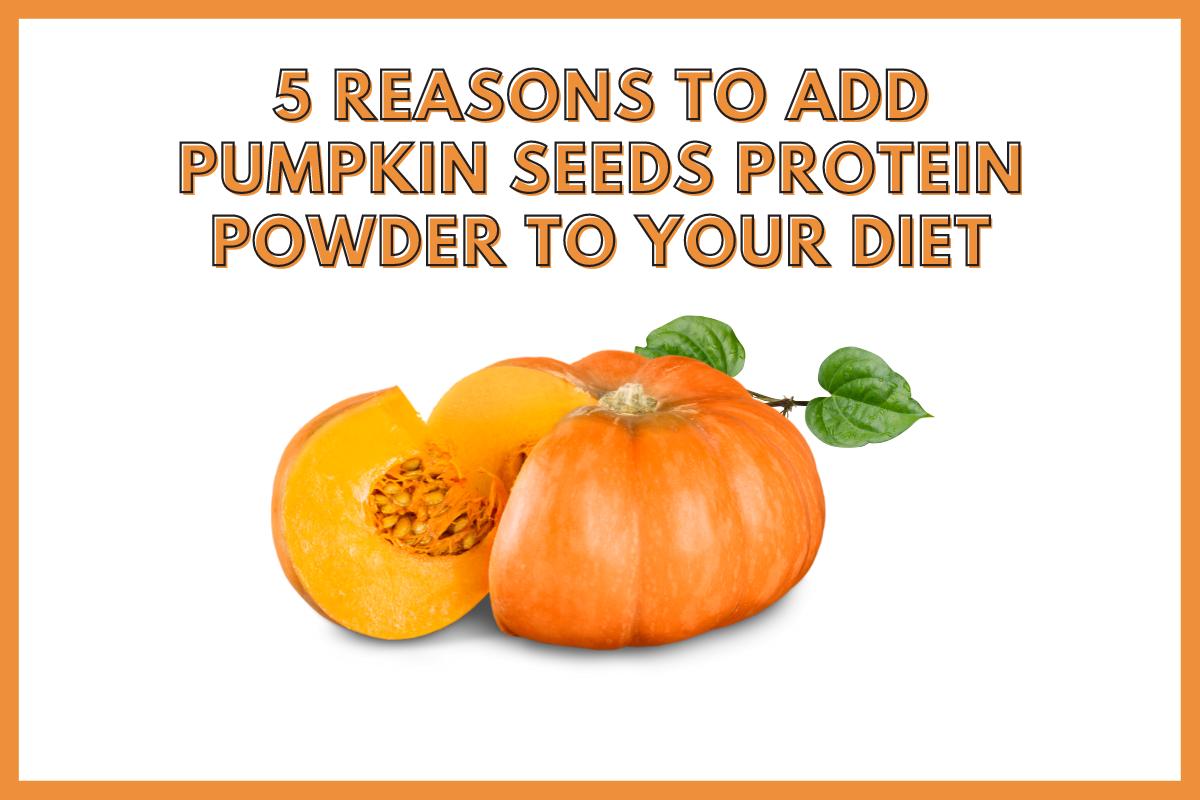 5 Reasons To Add Pumpkin Seeds Protein Powder To Your Diet