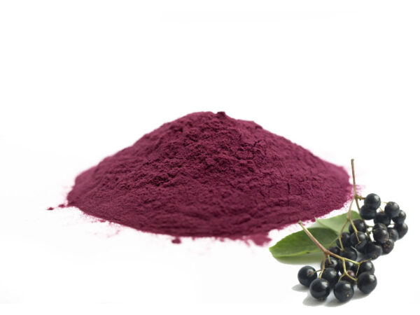 Organic Elderberry Powder